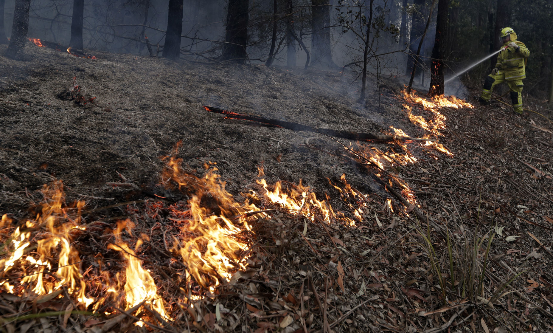 Australia wildfires